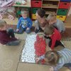 Mały Miś Polska